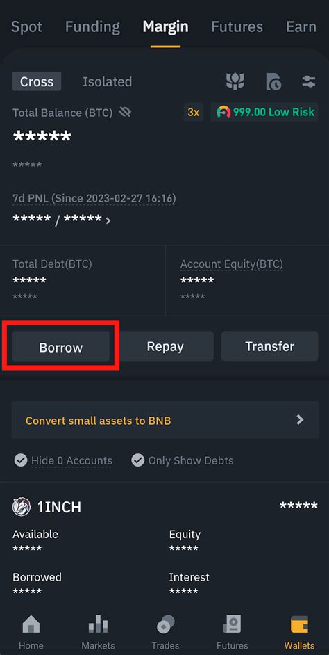 Ethereum: Binance Margin Borrow API in java
